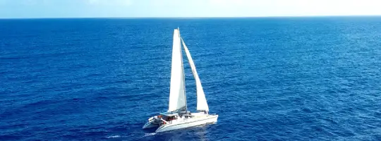 Catamaran à voile